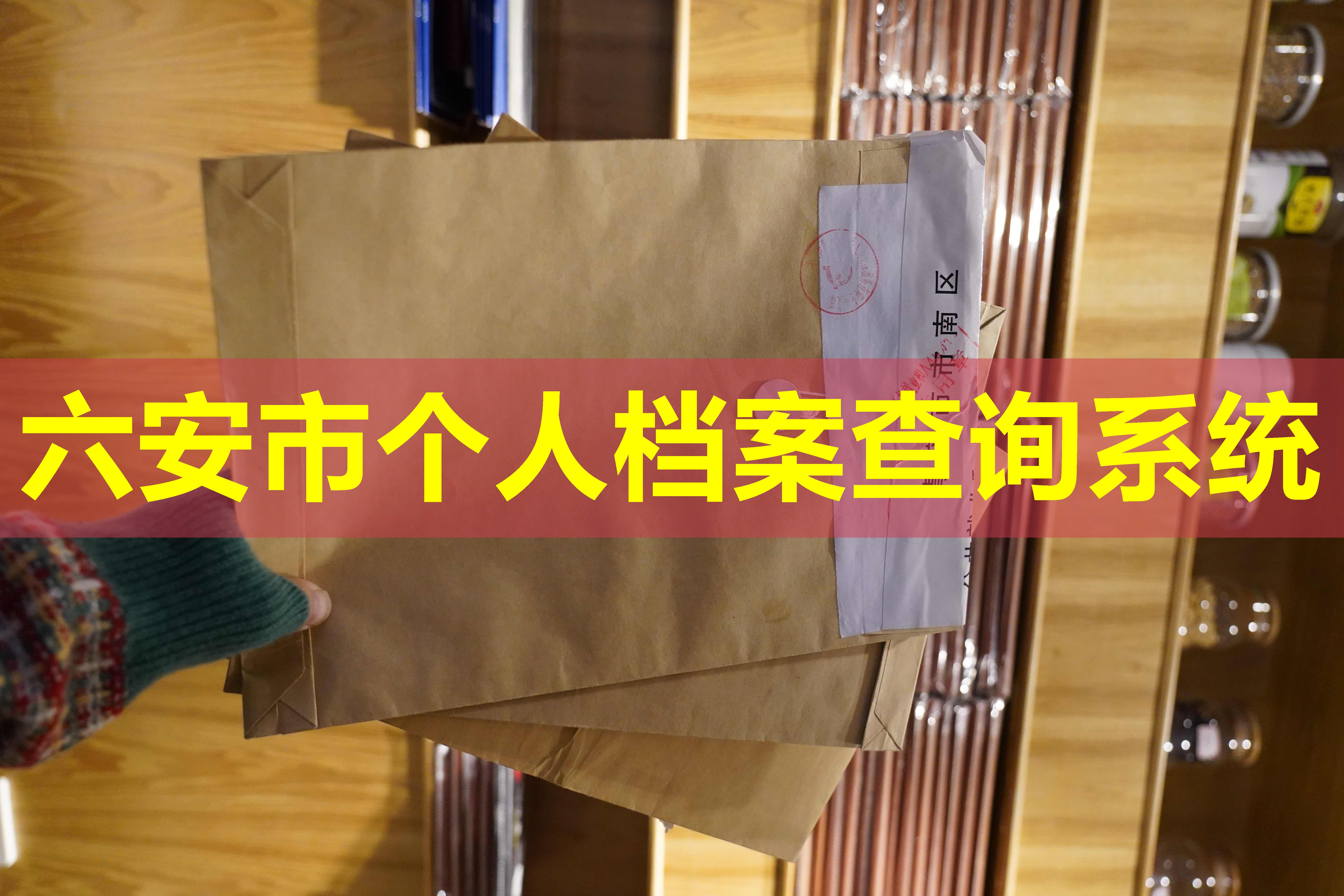 六安市个人档案查询系统