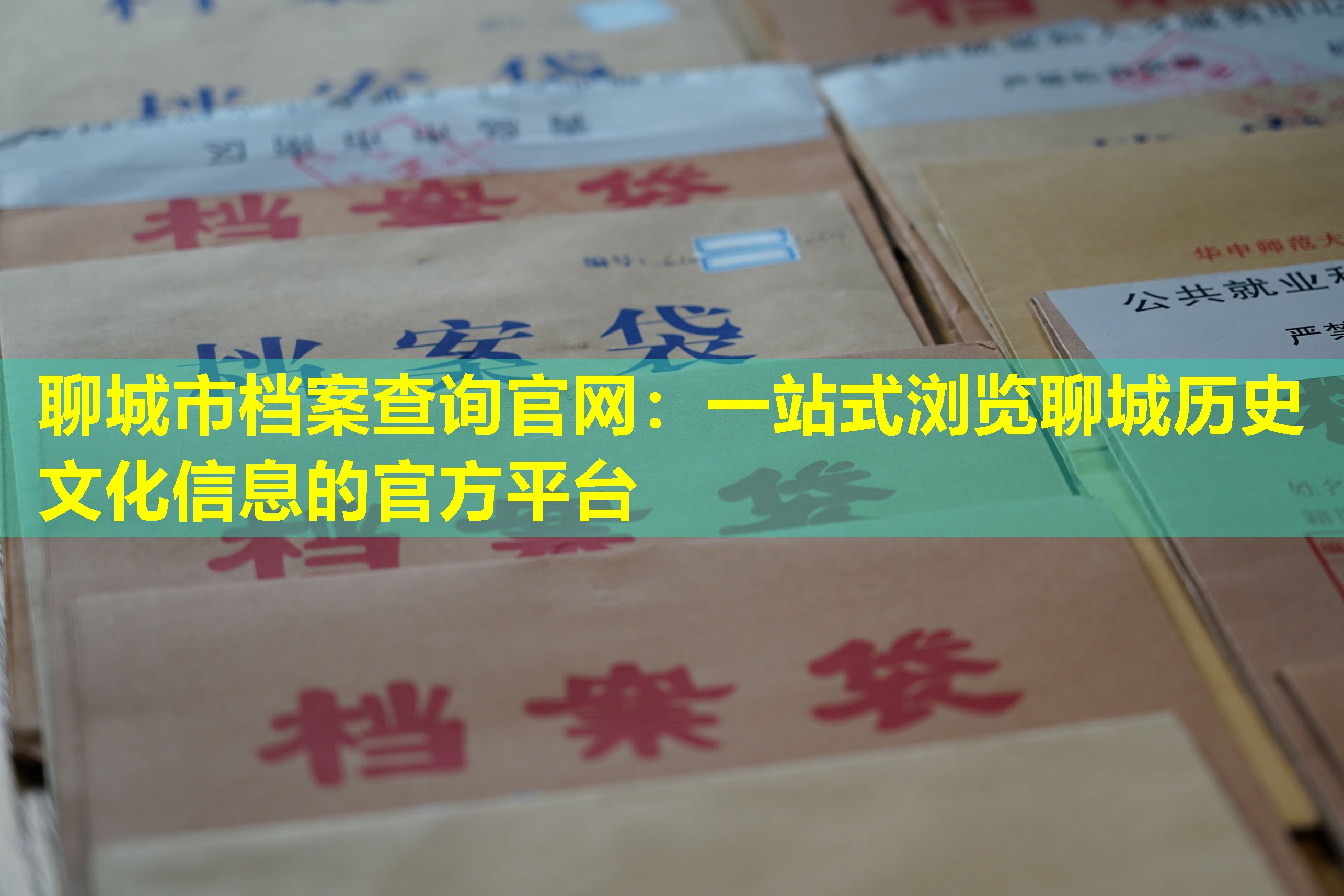 聊城市档案查询官网：一站式浏览聊城历史文化信息的官方平台