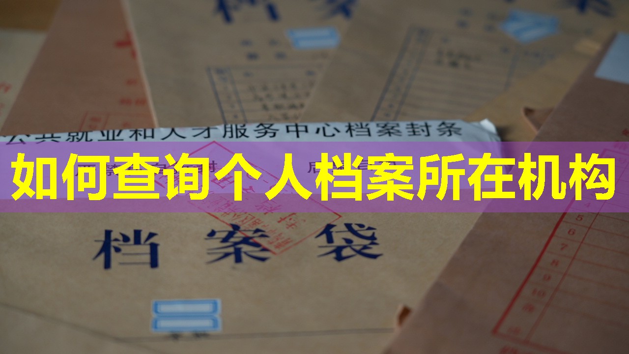 如何查询个人档案所在机构
