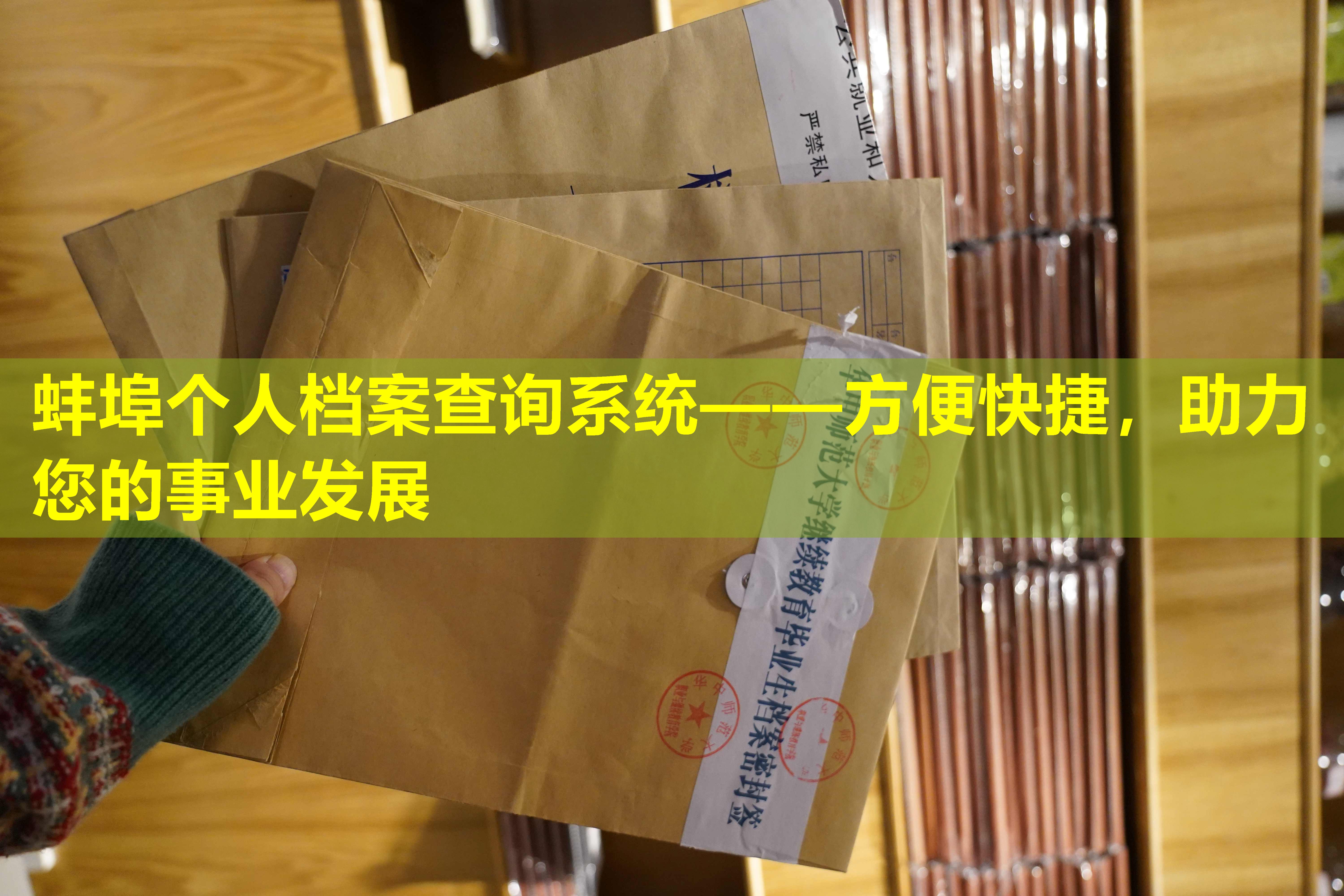 蚌埠个人档案查询系统——方便快捷，助力您的事业发展