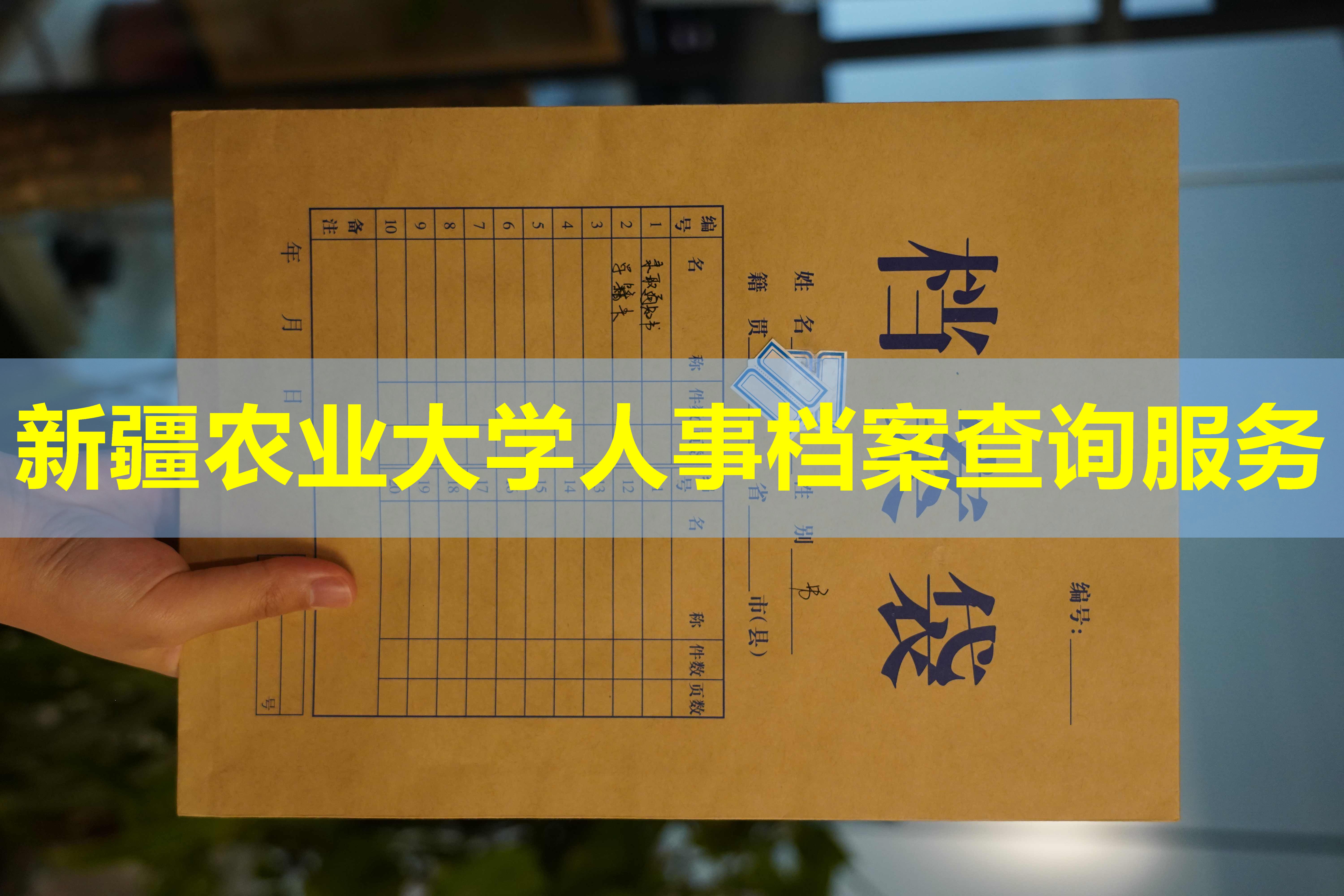 新疆农业大学人事档案查询服务