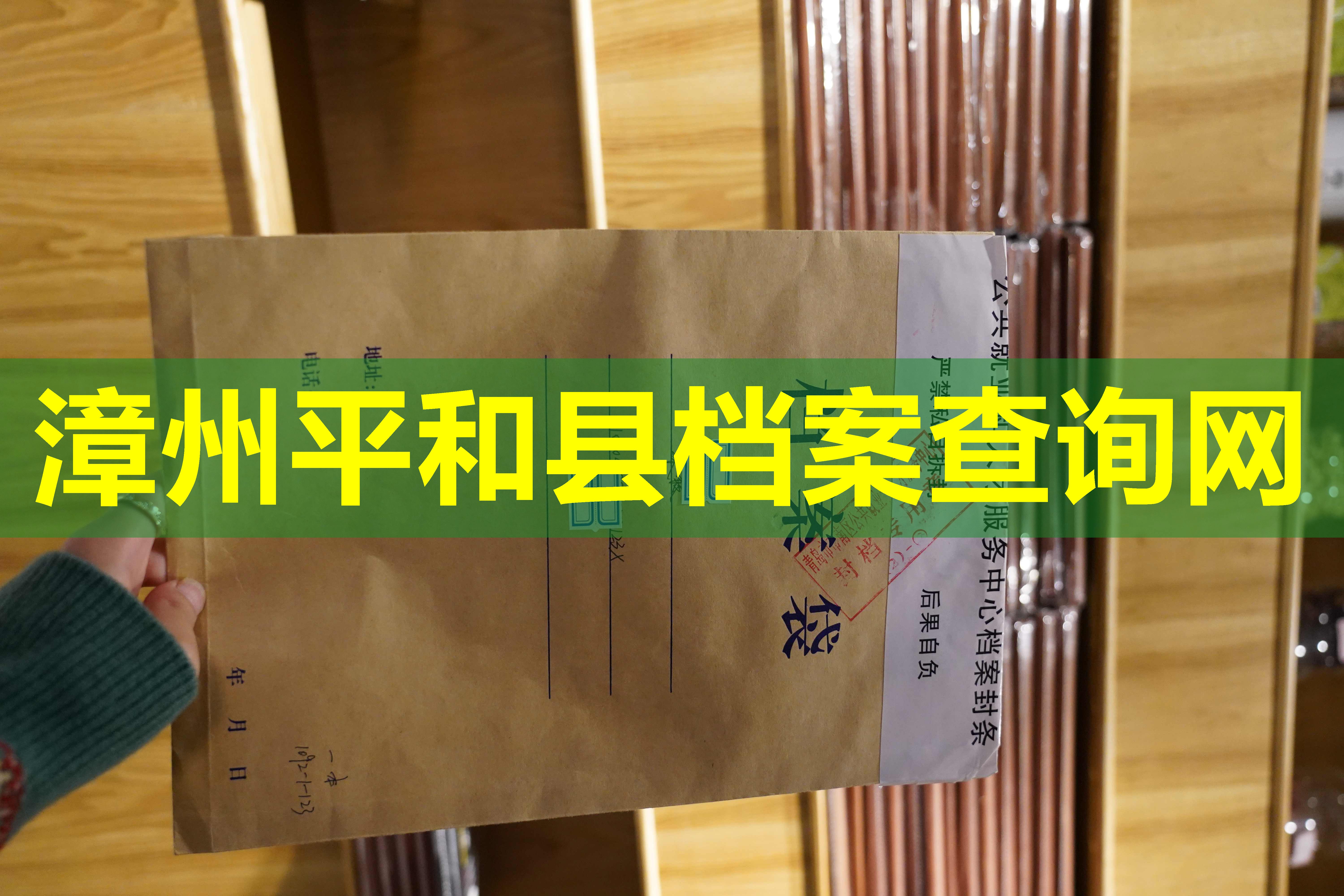 漳州平和县档案查询网