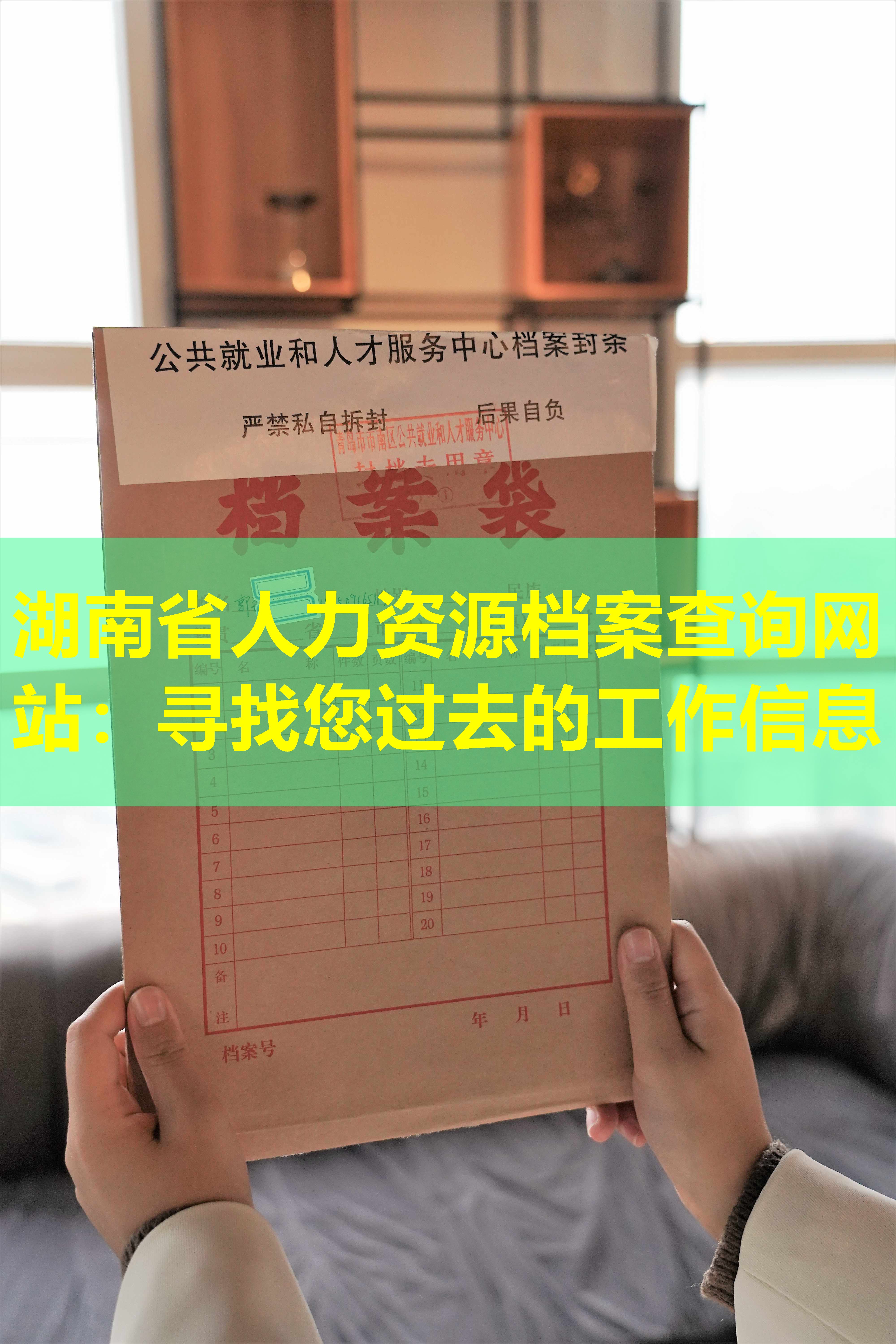 湖南省人力资源档案查询网站：寻找您过去的工作信息
