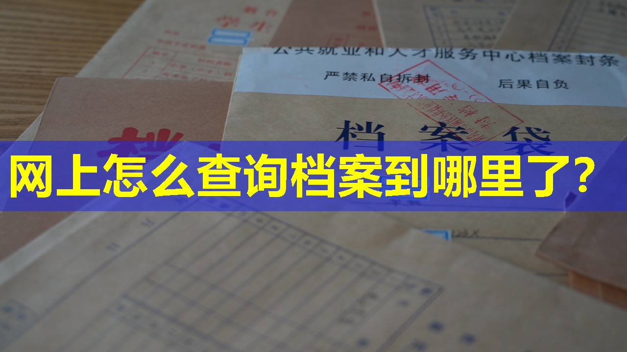 网上怎么查询档案到哪里了？
