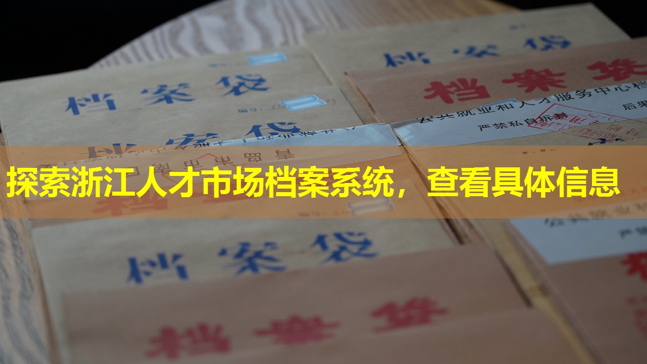 探索浙江人才市场档案系统，查看具体信息
