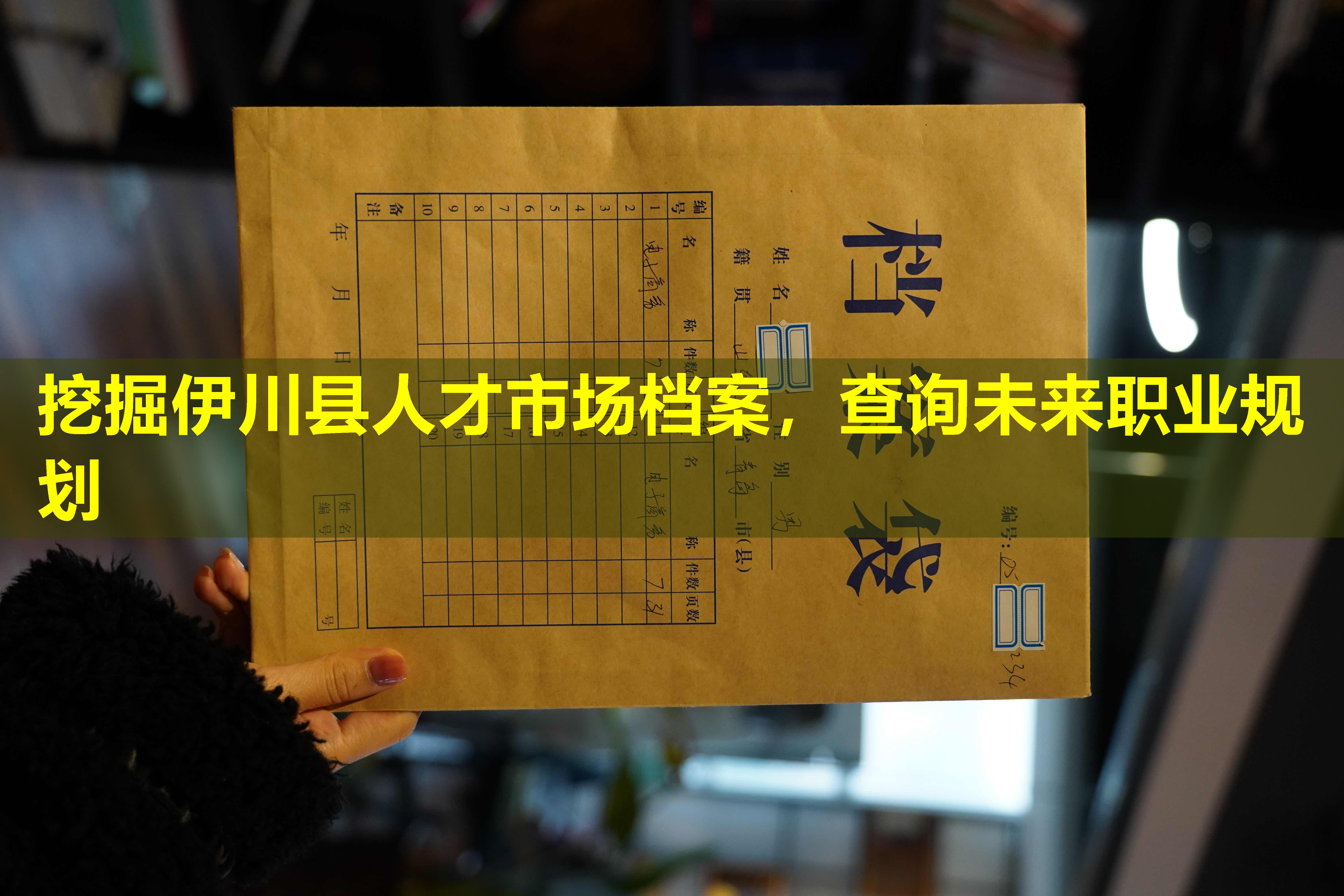 挖掘伊川县人才市场档案，查询未来职业规划