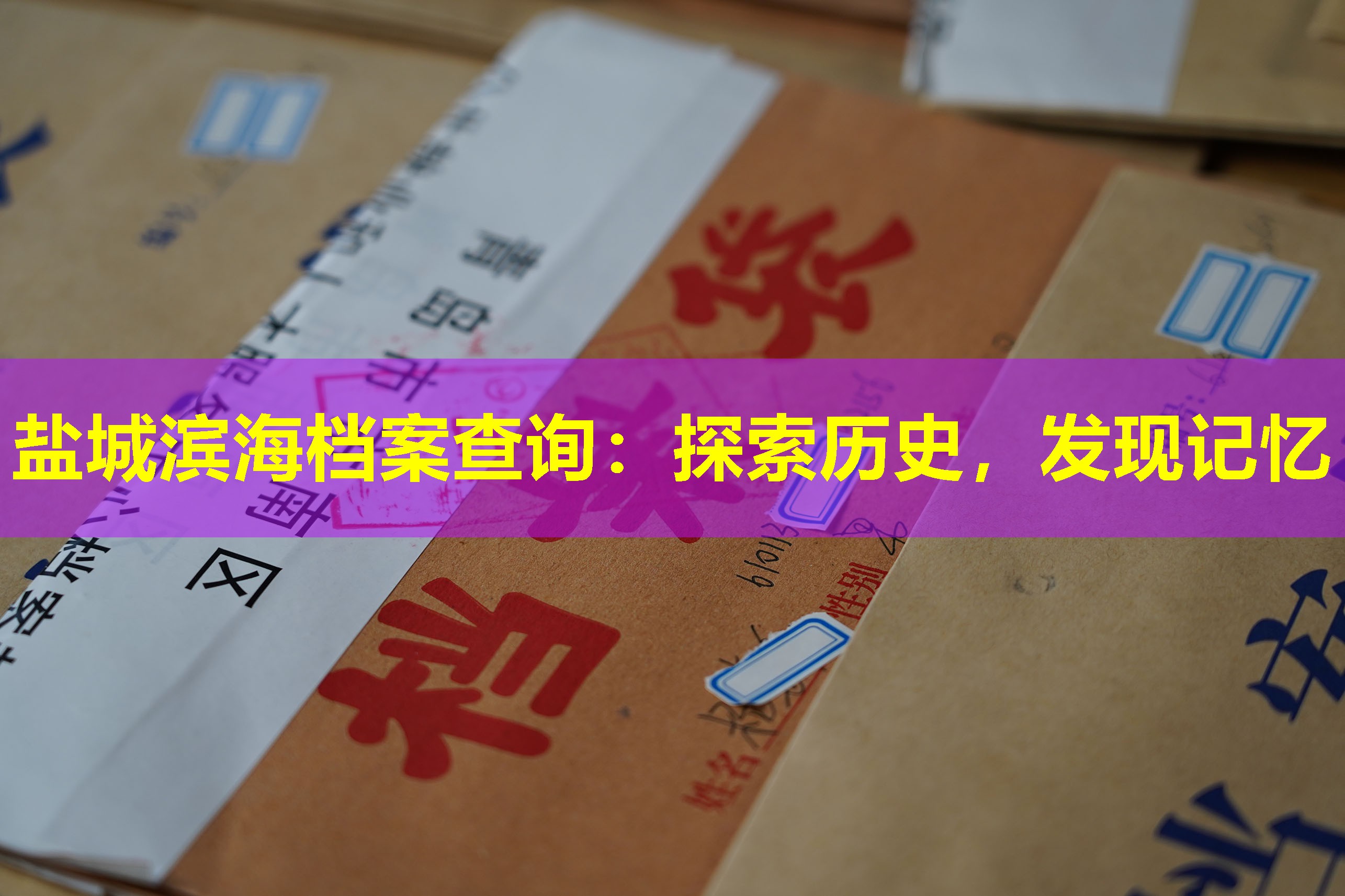 盐城滨海档案查询：探索历史，发现记忆