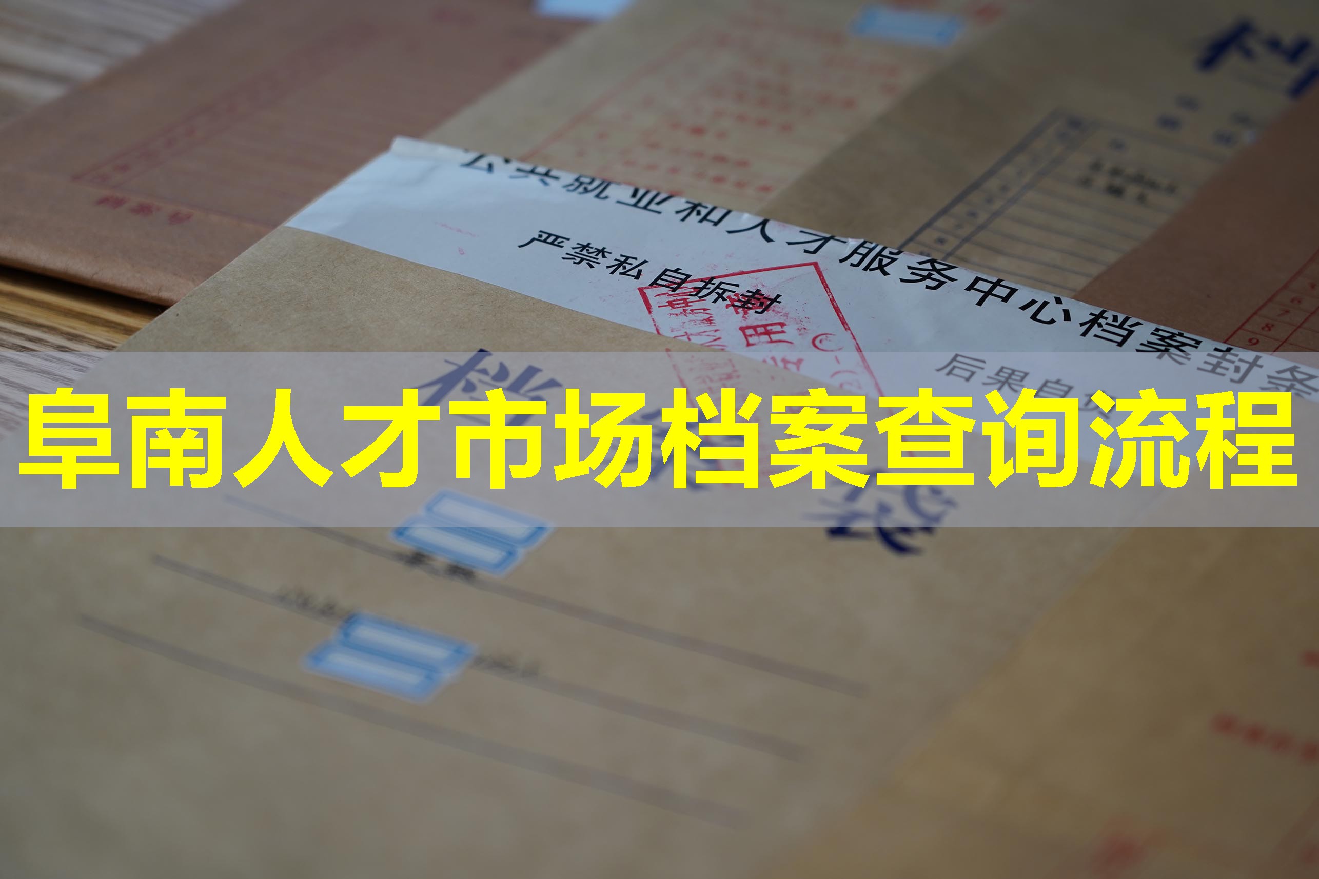 阜南人才市场档案查询流程
