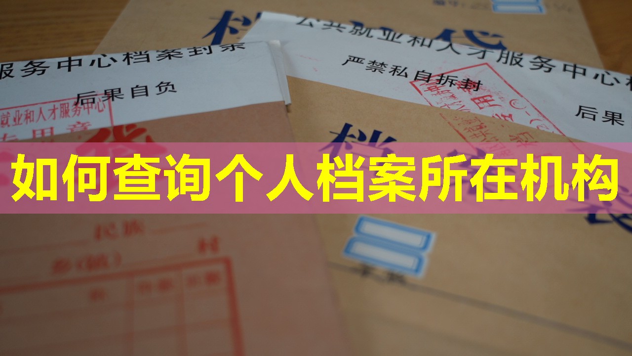 如何查询个人档案所在机构