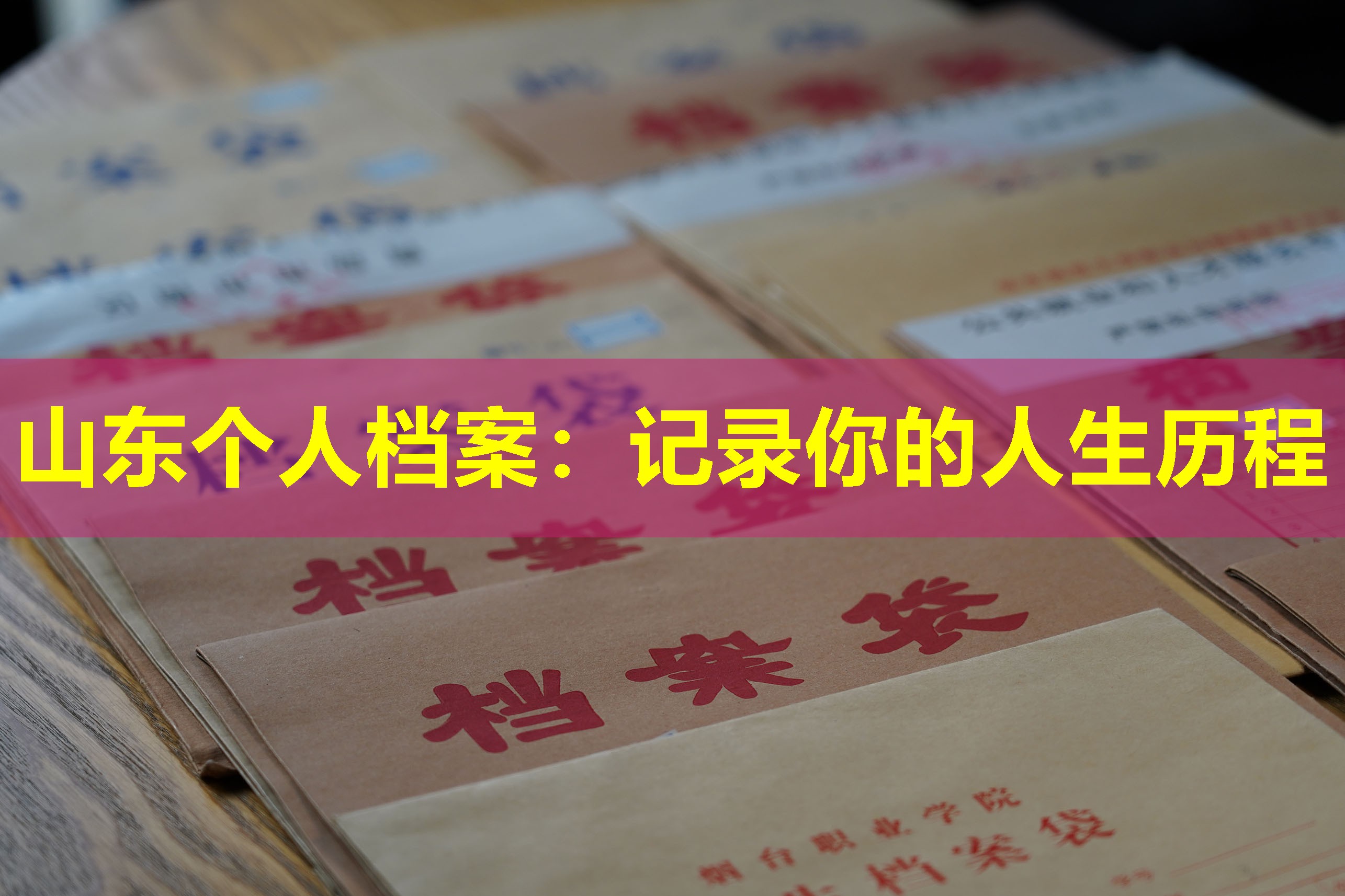 山东个人档案：记录你的人生历程