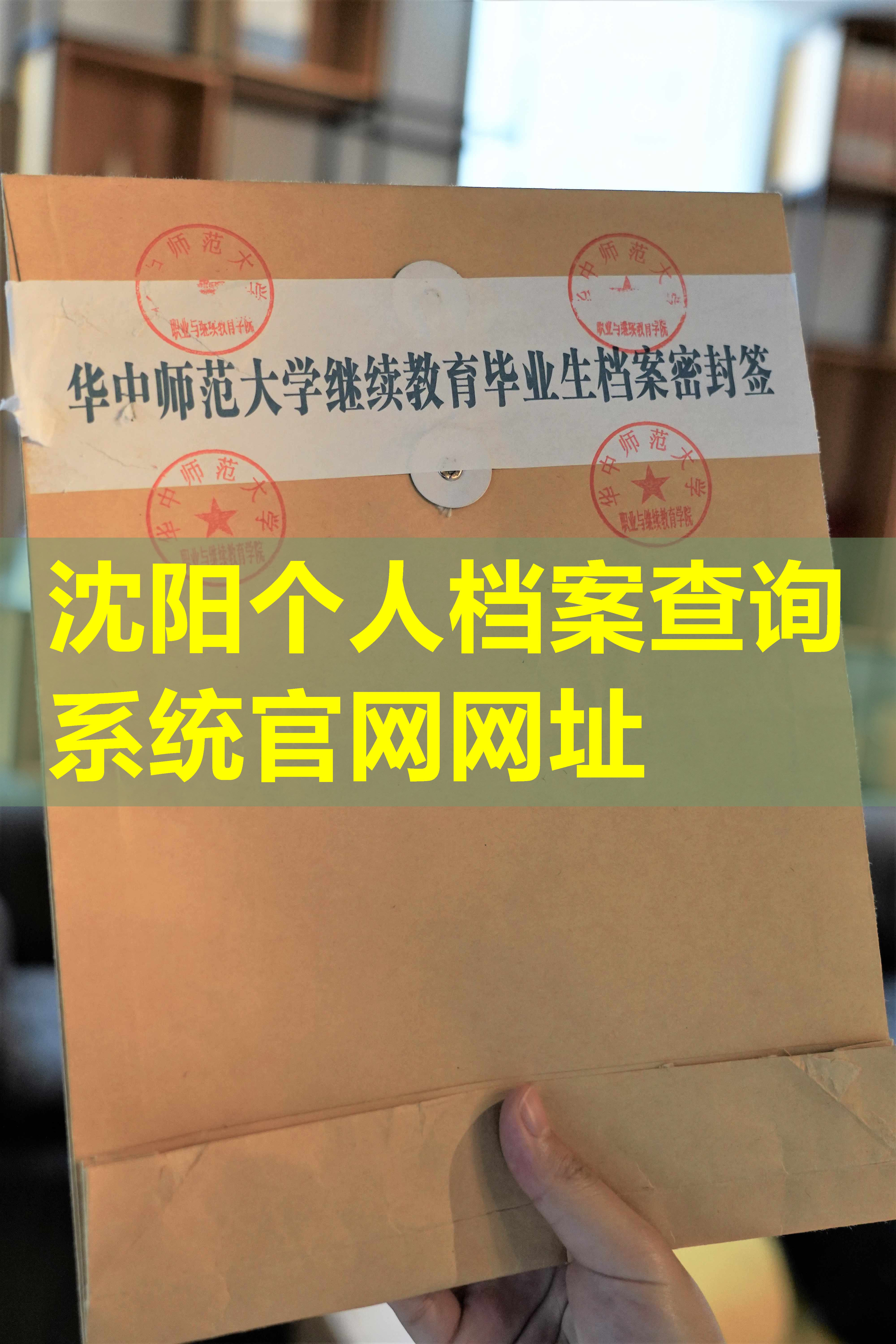 沈阳个人档案查询系统官网网址