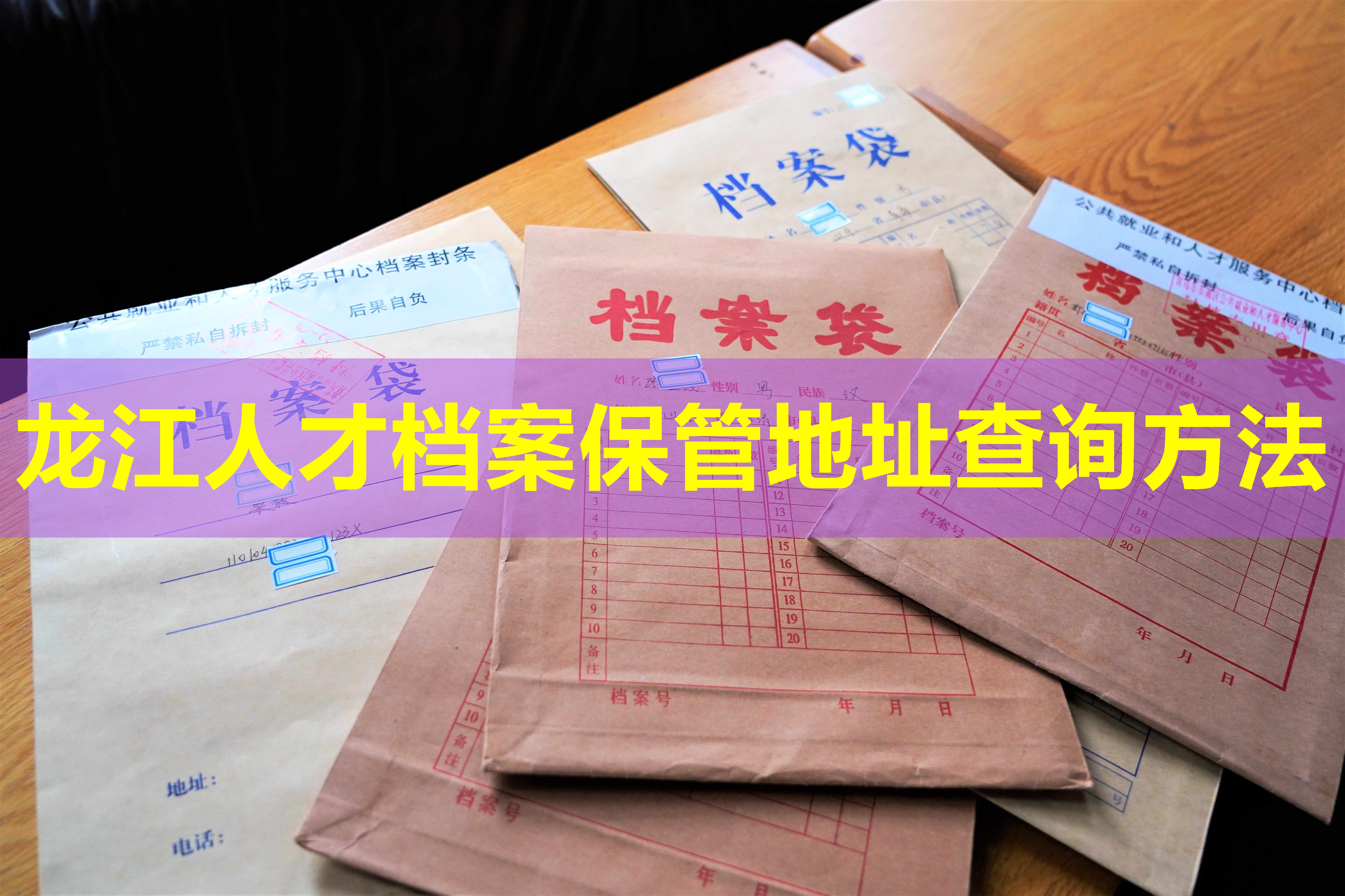 龙江人才档案保管地址查询方法