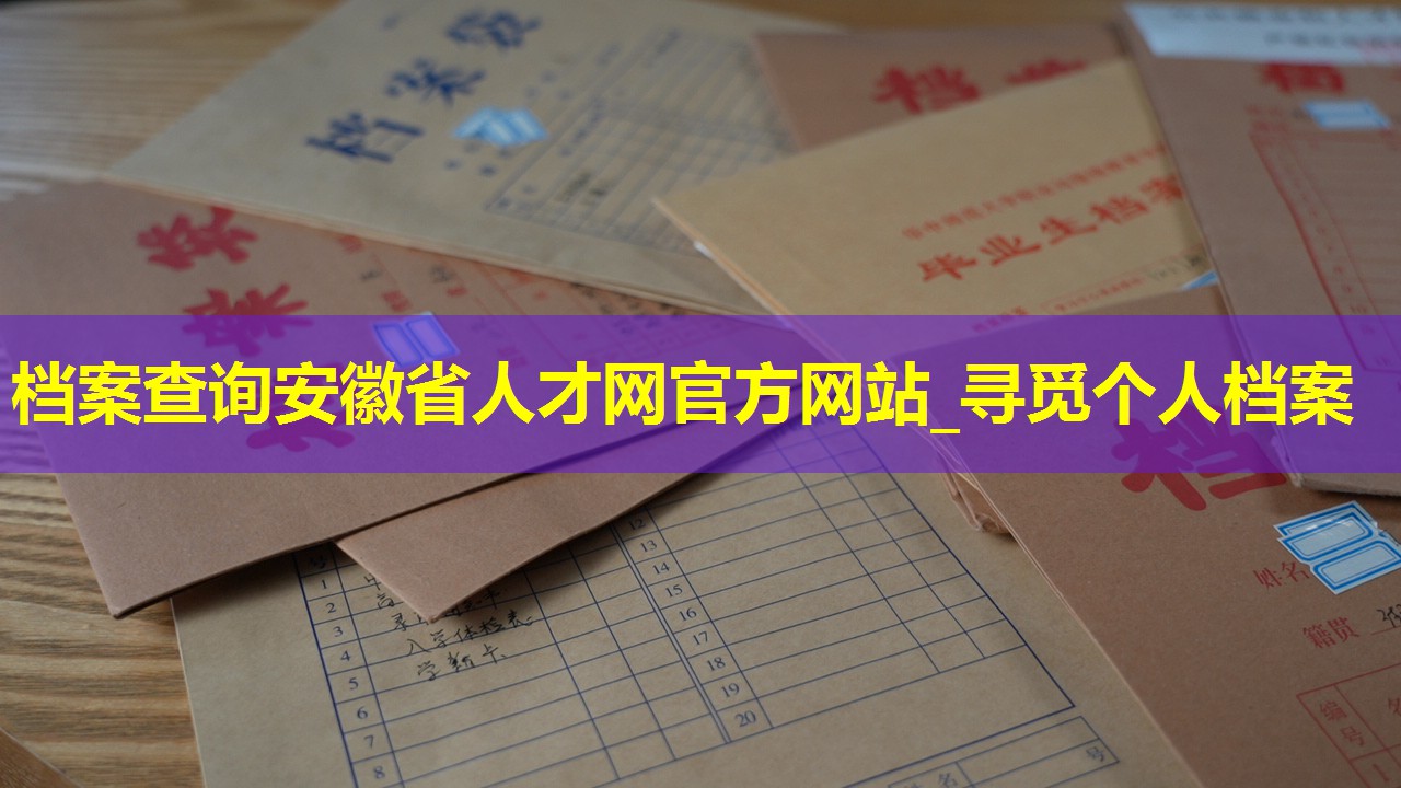 档案查询安徽省人才网官方网站_寻觅个人档案