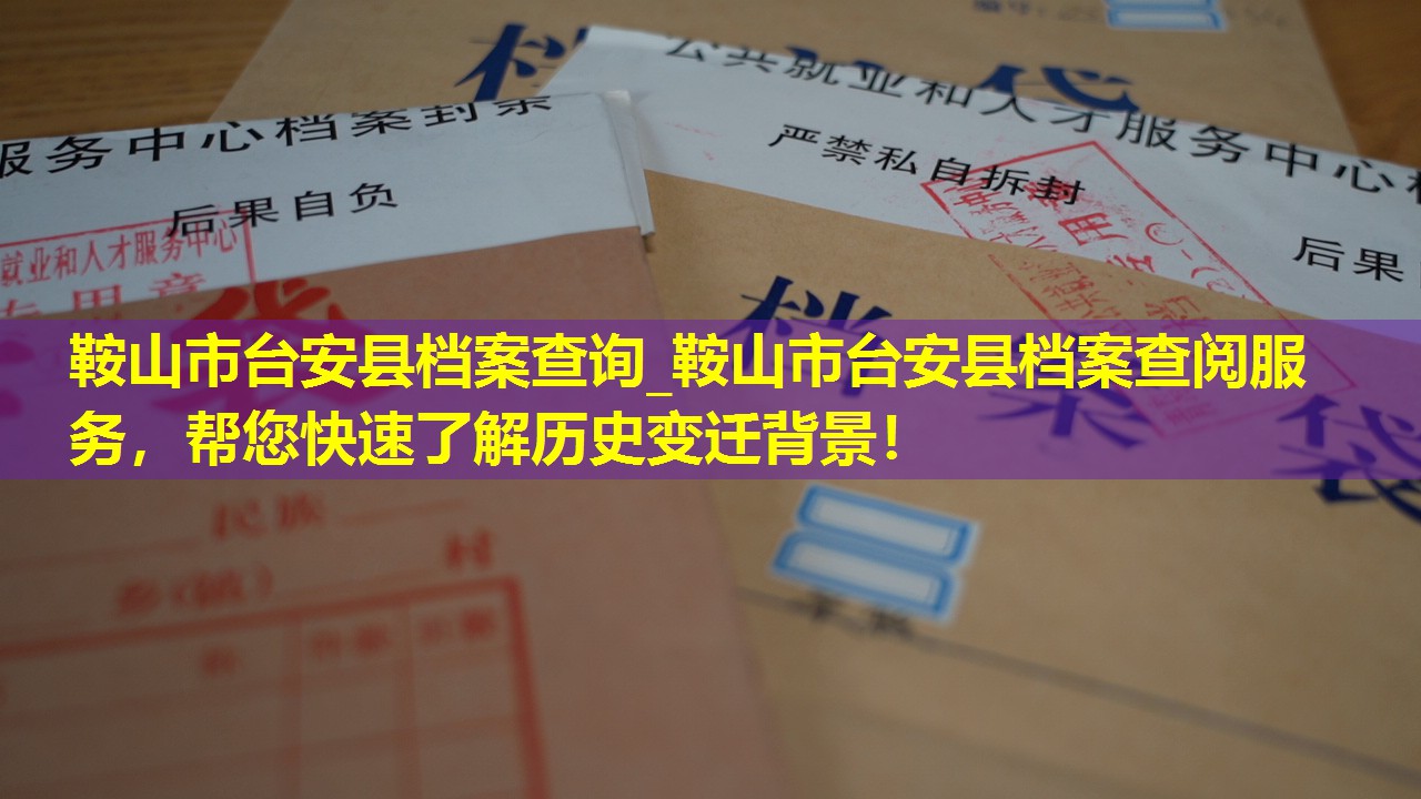 鞍山市台安县档案查询_鞍山市台安县档案查阅服务，帮您快速了解历史变迁背景！