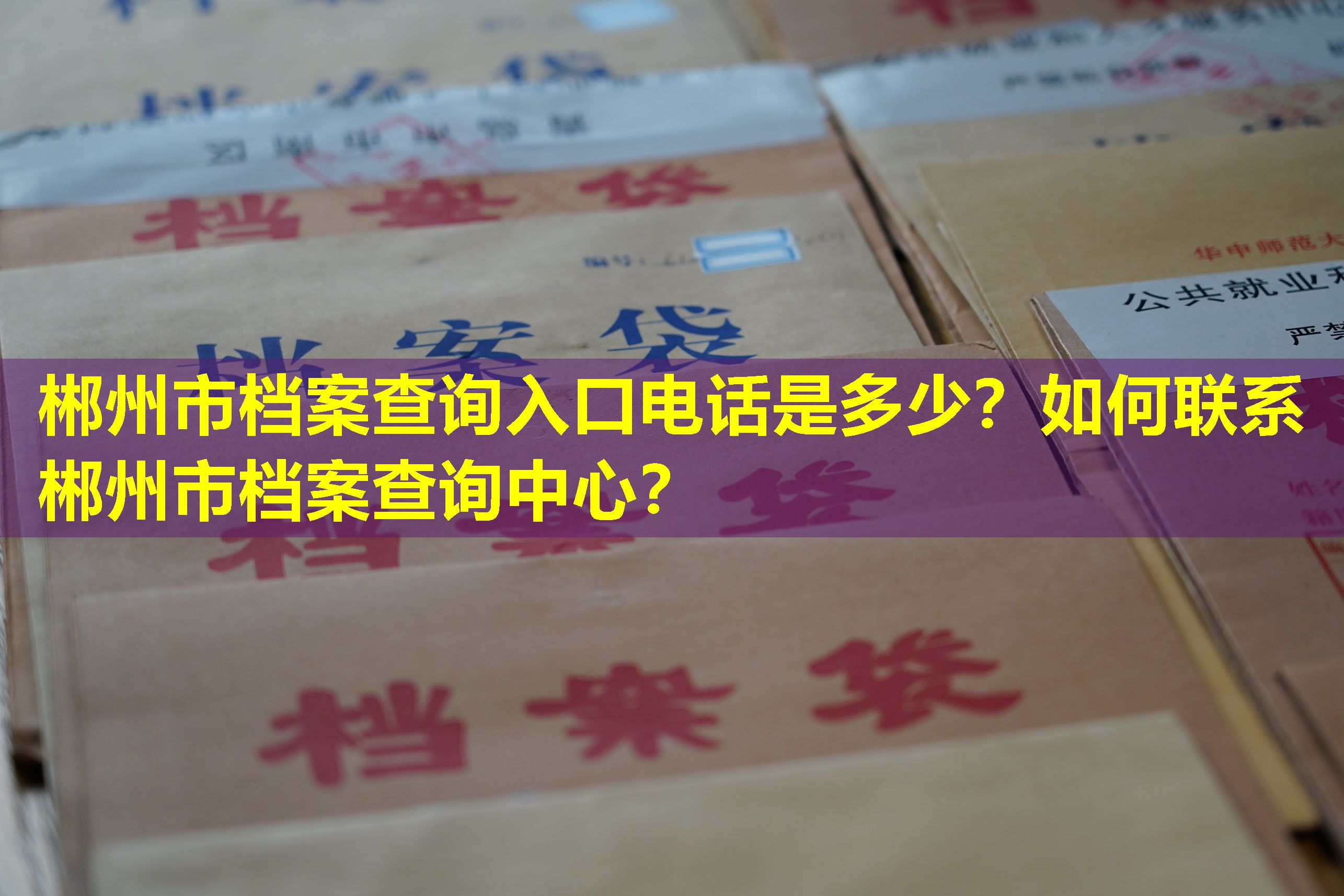 郴州市档案查询入口电话是多少？如何联系郴州市档案查询中心？