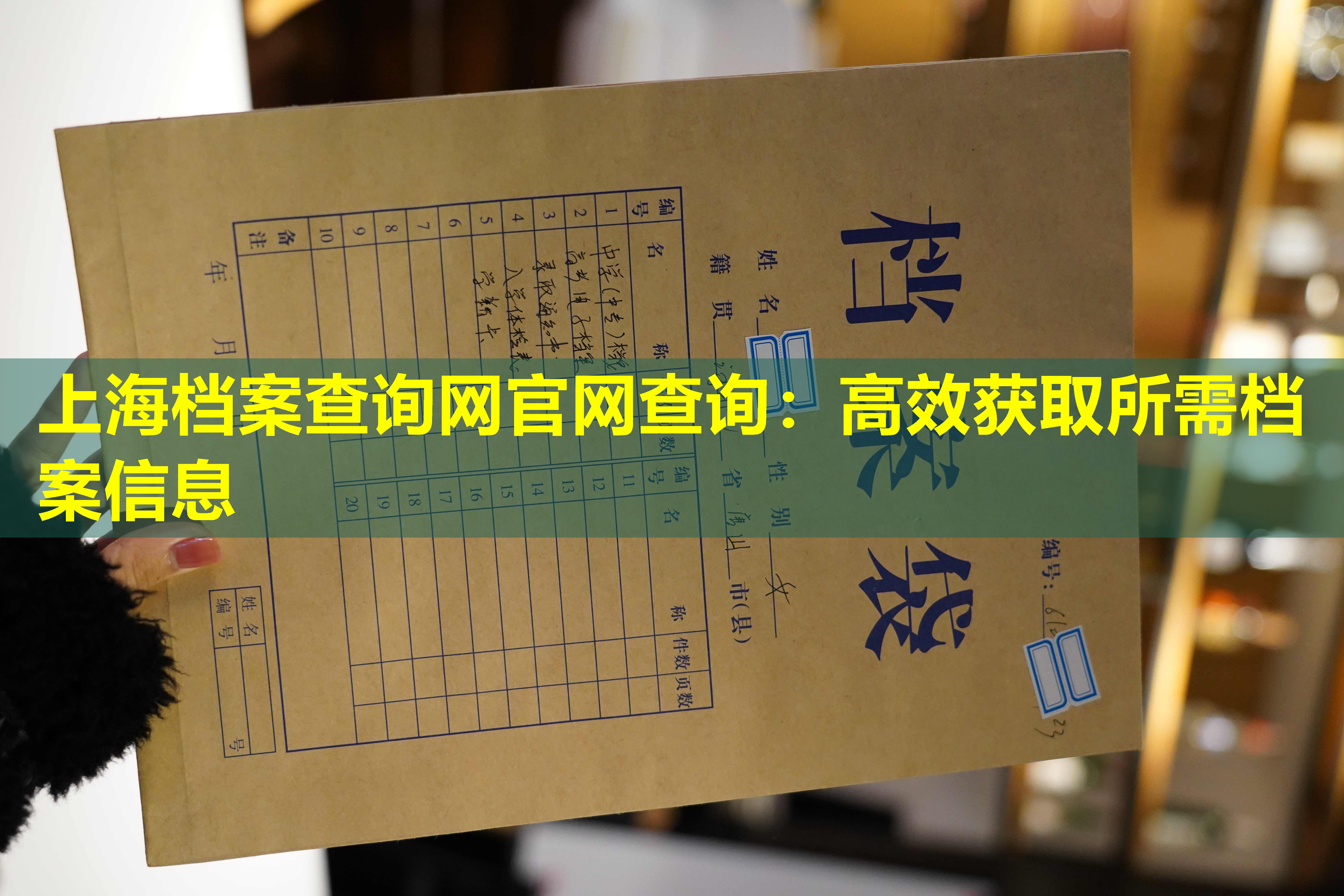 上海档案查询网官网查询：高效获取所需档案信息