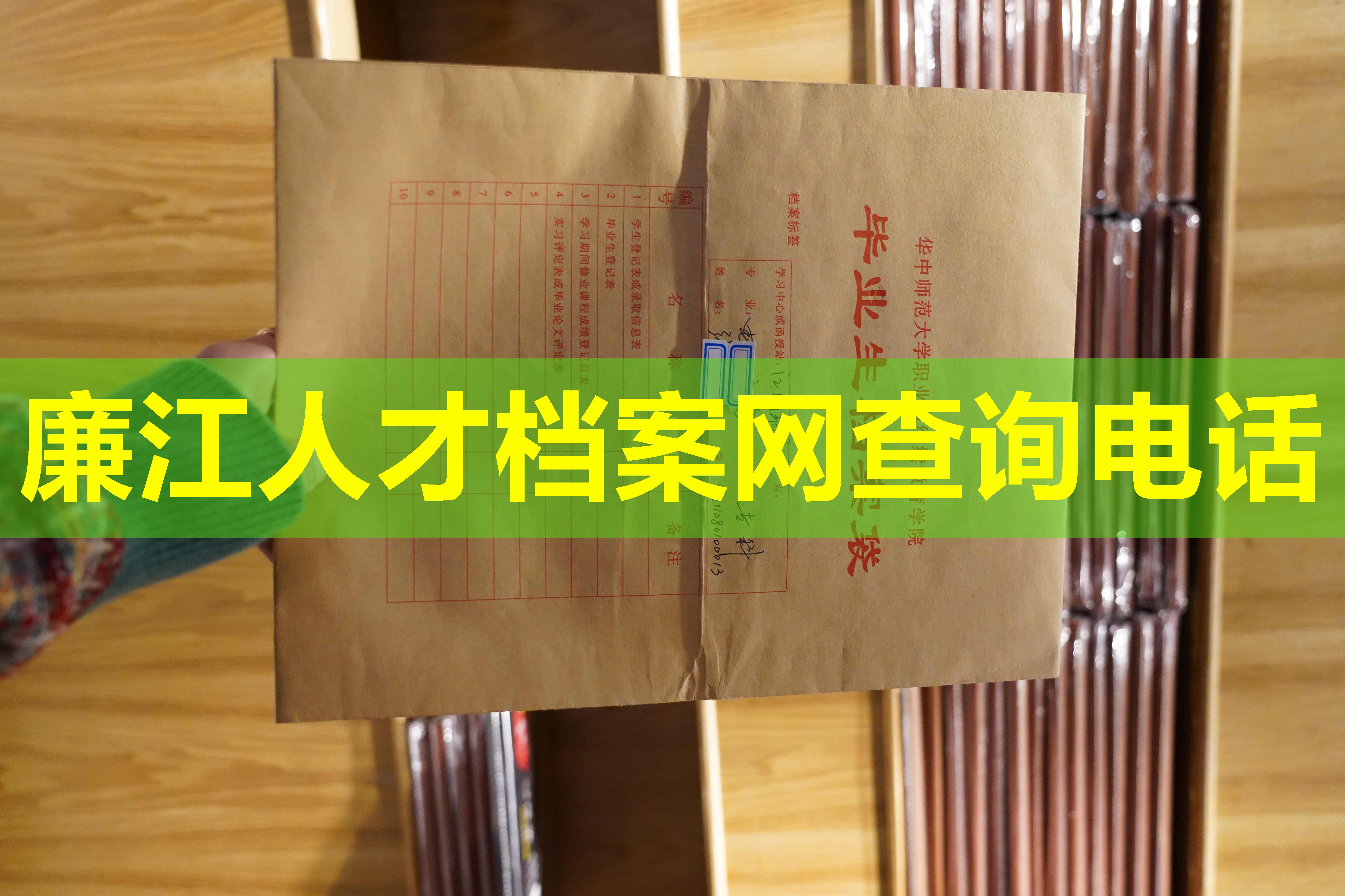 廉江人才档案网查询电话