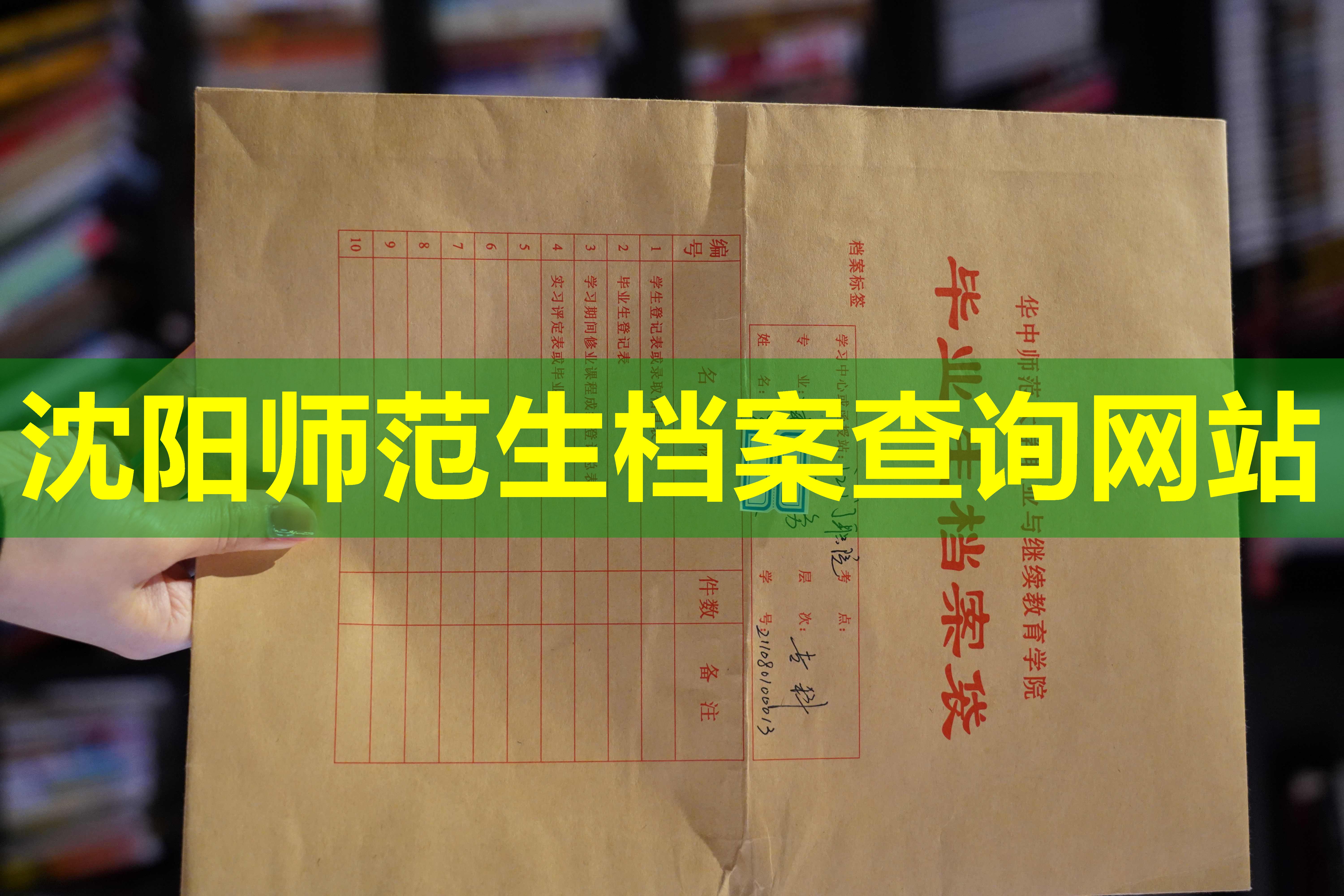 沈阳师范生档案查询网站
