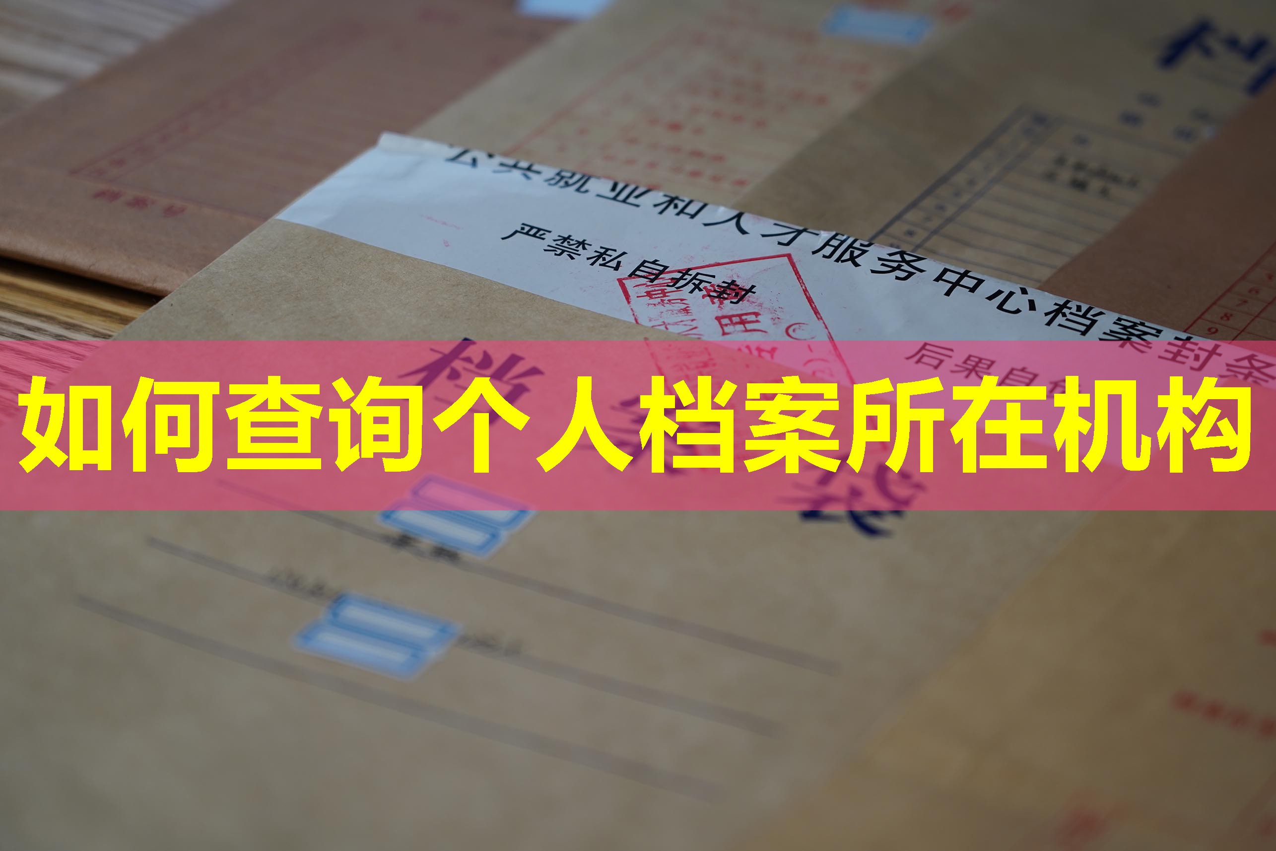 如何查询个人档案所在机构
