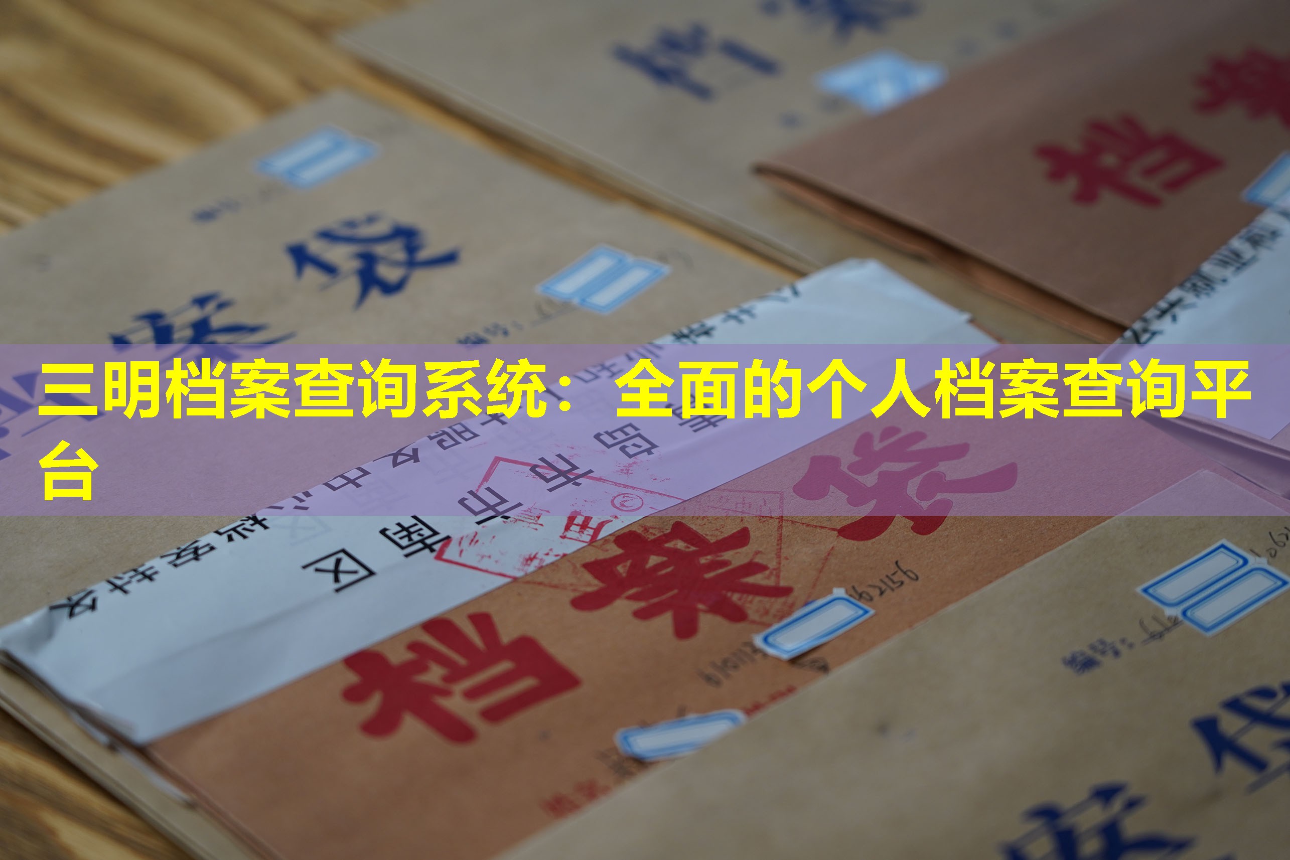 三明档案查询系统：全面的个人档案查询平台