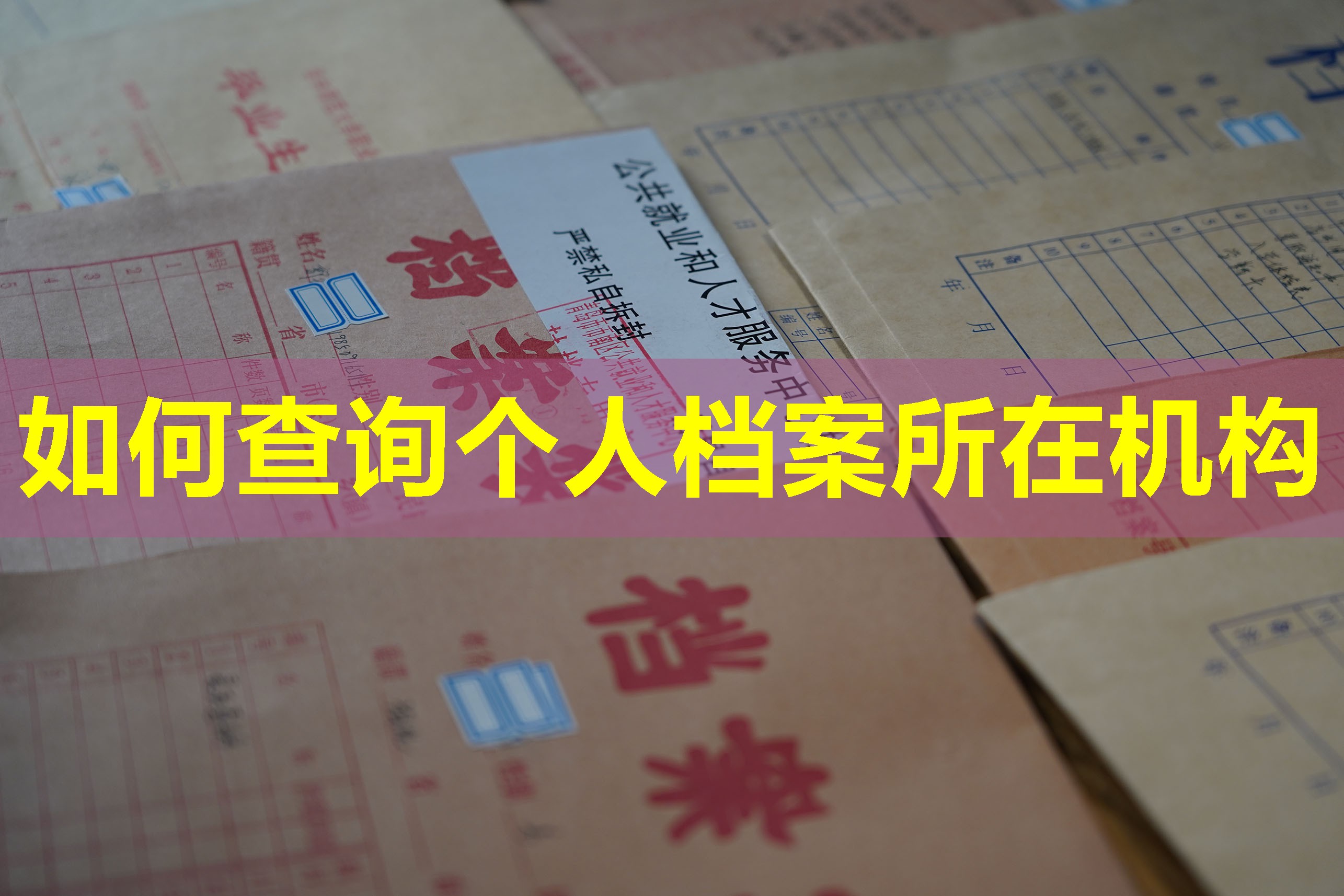 如何查询个人档案所在机构