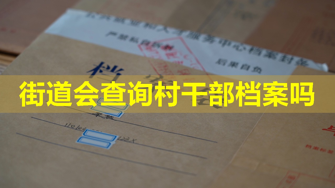 街道会查询村干部档案吗