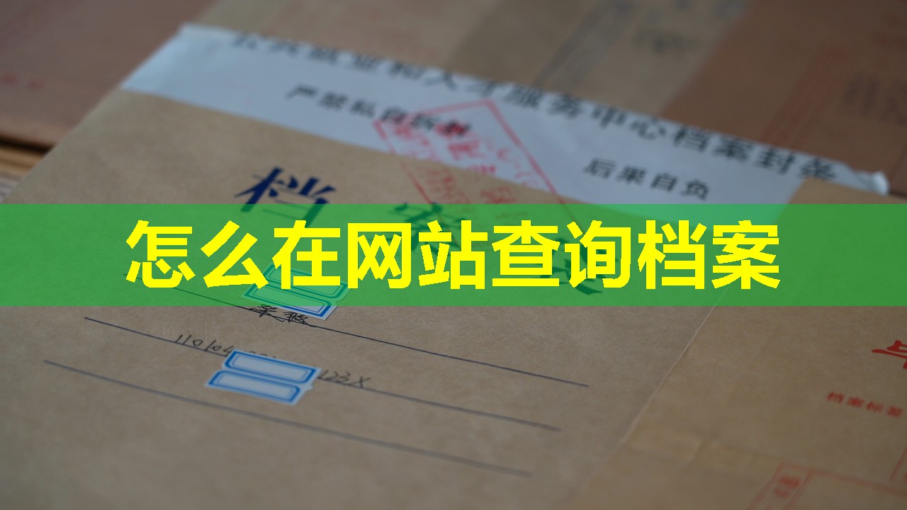 怎么在网站查询档案