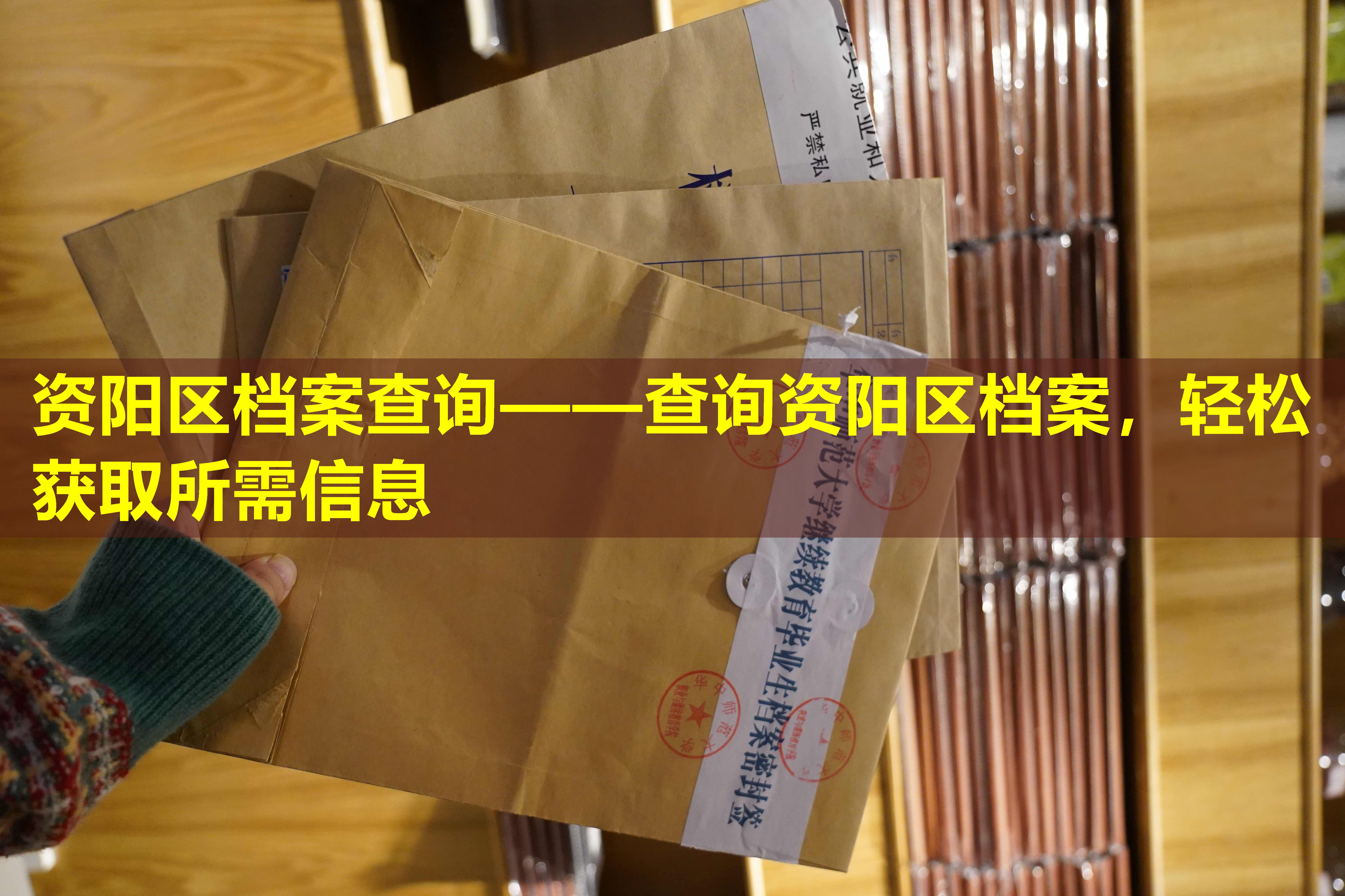 资阳区档案查询——查询资阳区档案，轻松获取所需信息
