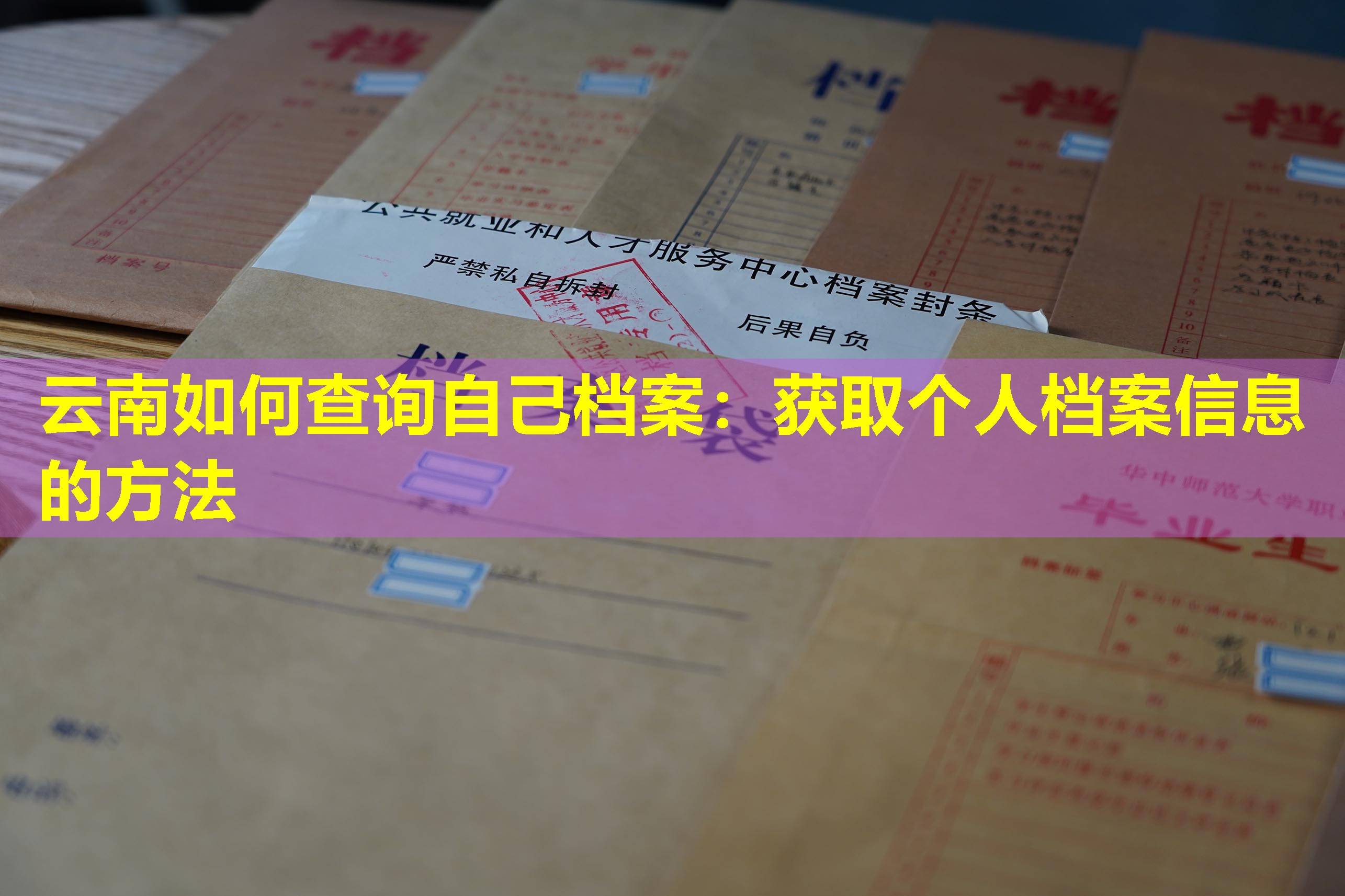 云南如何查询自己档案：获取个人档案信息的方法
