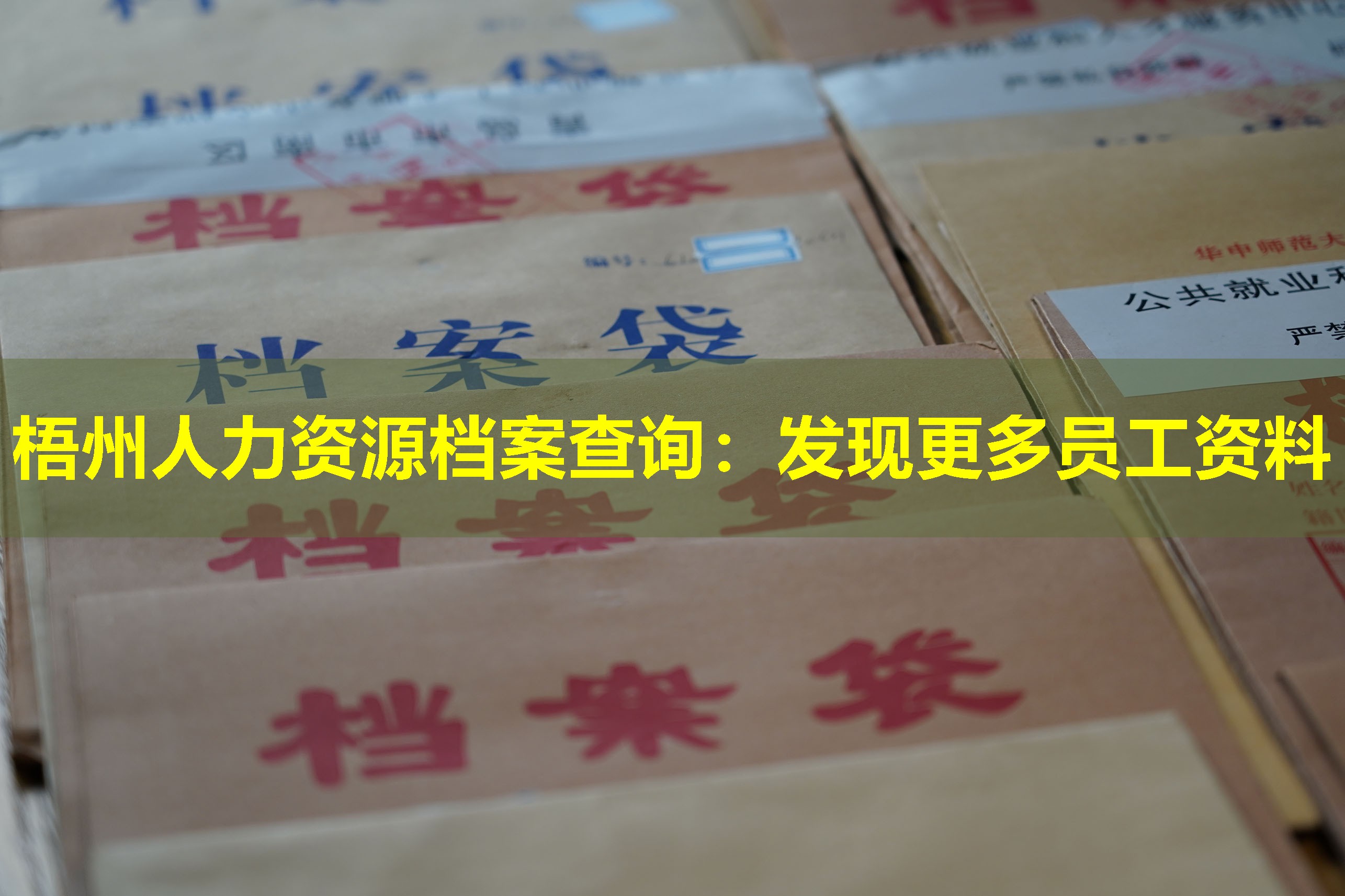 梧州人力资源档案查询：发现更多员工资料